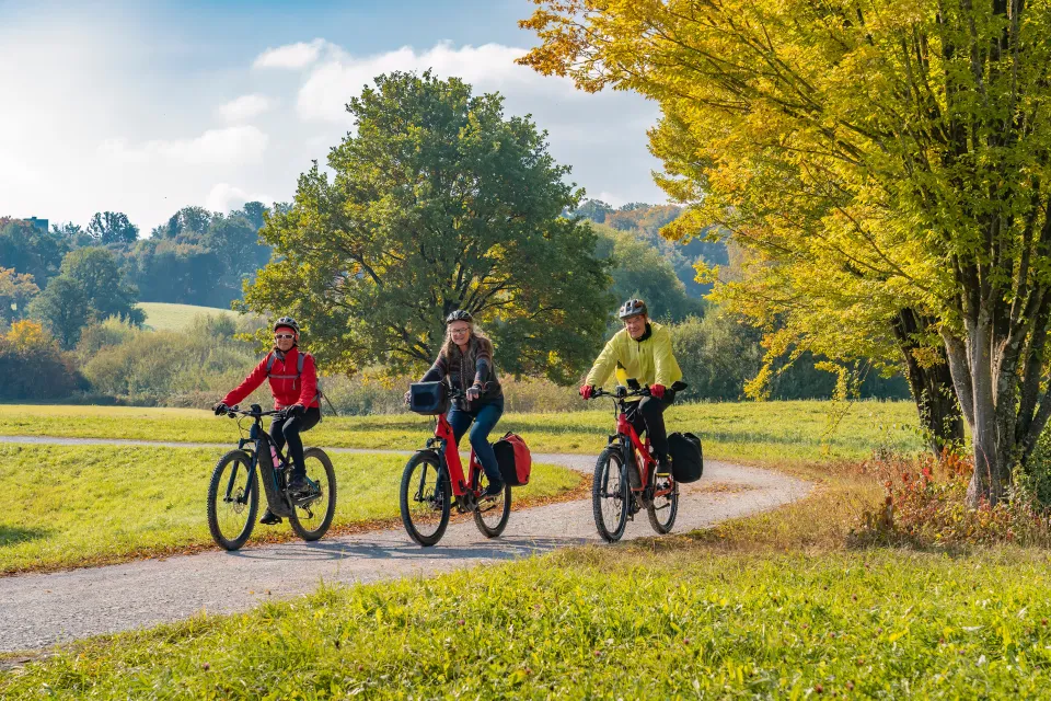 Three people riding e-bikes on park trail
